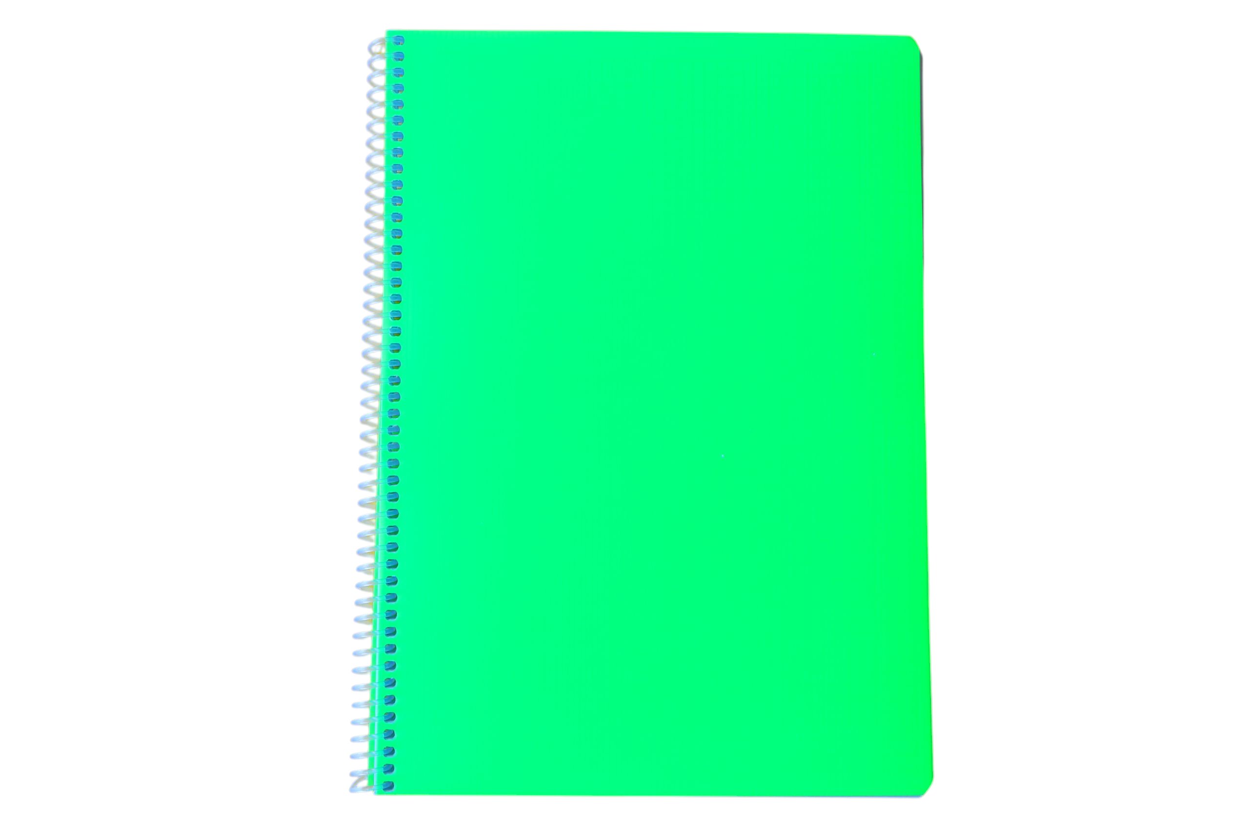 Point 60 Yaprak Çizgili Defter